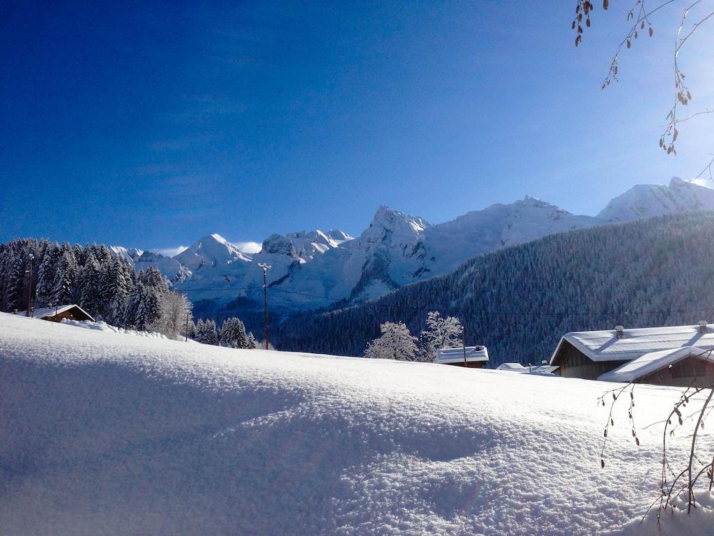 Chalet La Vigogne Et Spa Ле-Гран-Борнан Экстерьер фото